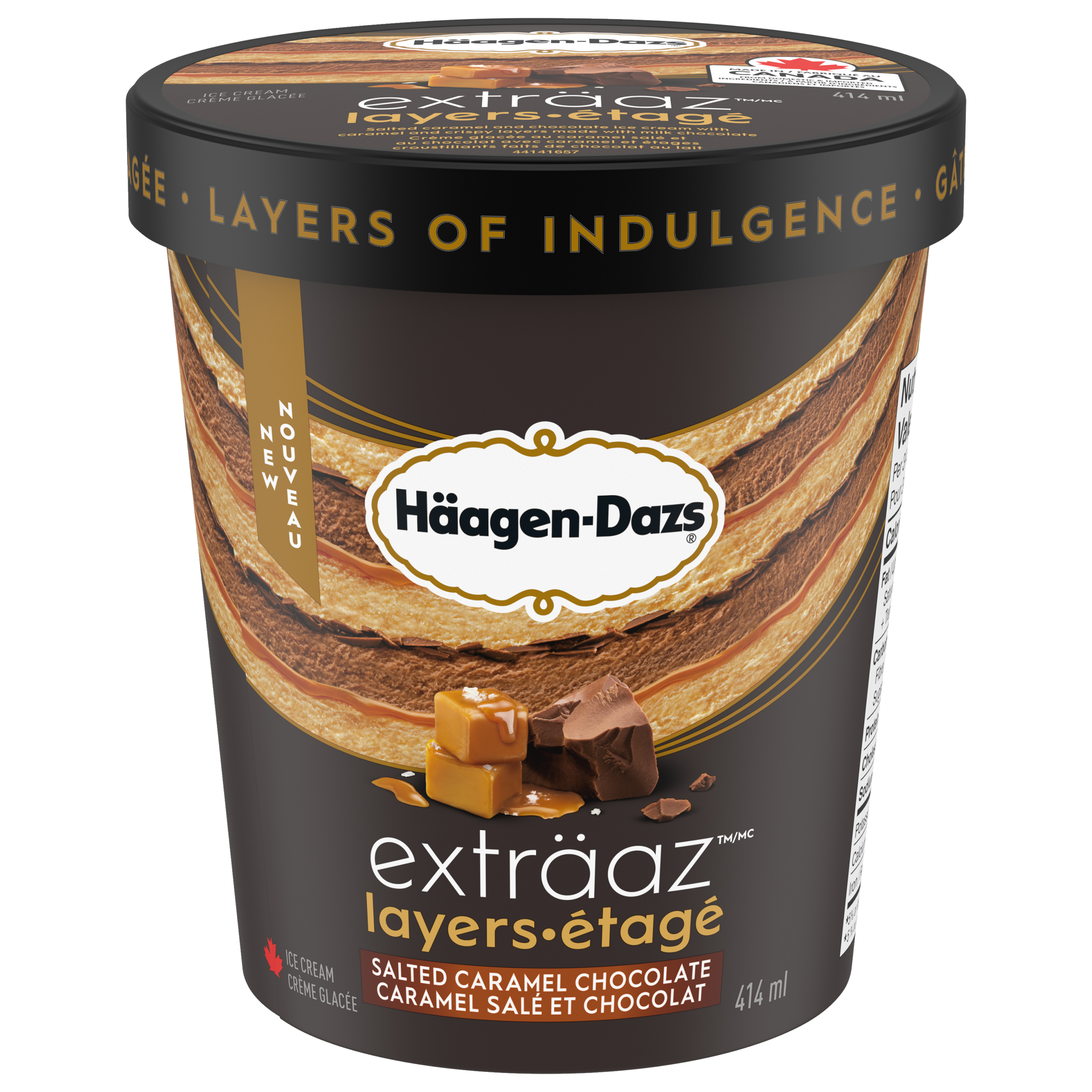 HÄAGEN-DAZS EXTRÄAZ Layers Salted Caramel Chocolate Ice Cream, 414 ml
