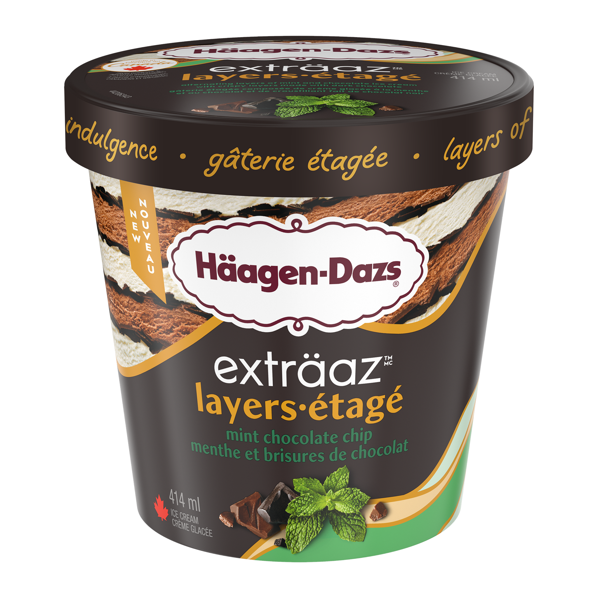 exträaz layers Mint Chocolate Chip Ice Cream