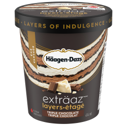 HÄAGEN-DAZS EXTRÄAZ Layers Triple Chocolate Ice Cream, 414 ml