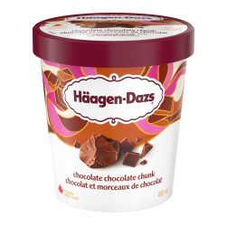 HAAGEN-DAZS Choc Choc Chunk 450ml