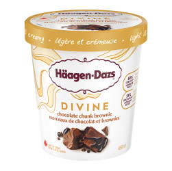 HDZ Divine ChocolateBrownie 450ml