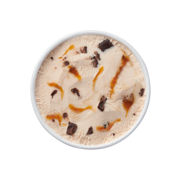 Plant-based Caramel Fudge Chip Frozen Dessert