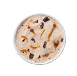 Plant-based Caramel Fudge Chip Frozen Dessert