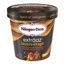 EXTRÄAZ LAYERS SALTED CARAMEL CHOCOLATE ICE CREAM