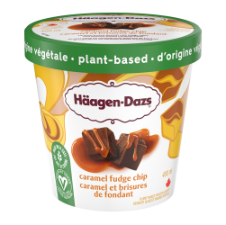 PLANT-BASED CARAMEL FUDGE CHIP FROZEN DESSERT_EN_lid