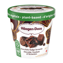 HAAGEN DAZS plant-based chocolate fudge brownies tub