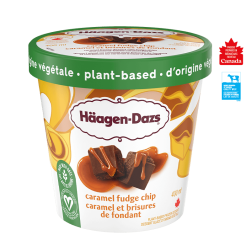 Plant-based Caramel Fudge Chip Frozen Dessert