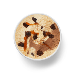 hdz caramel brownies tub top-down image