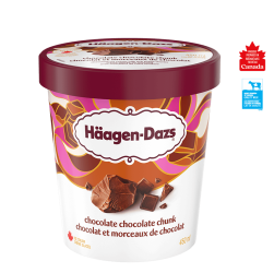 HAAGEN-DAZS Choc Choc Chunk 450ml