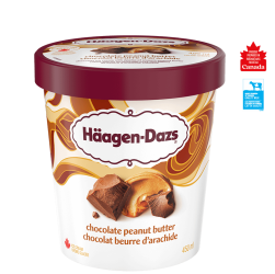 HDZ Choc Peanut Butter 450ml