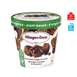 HAAGEN DAZS plant-based chocolate fudge brownies tub
