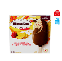 Mango Raspberry Ice Cream Bars