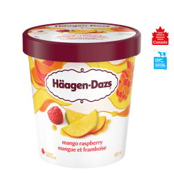 Haagen-Dazs Mango Raspberry 450ml