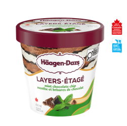 EXTRÄAZ LAYERS MINT CHOCOLATE CHIP ICE CREAM