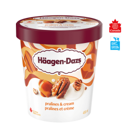 HAAGEN-DAZS Pralines & Cream 450ml
