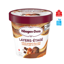 EXTRÄAZ LAYERS SALTED CARAMEL CHOCOLATE ICE CREAM