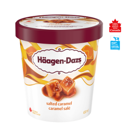 HAAGEN-DAZS Salted Caramel 450ml