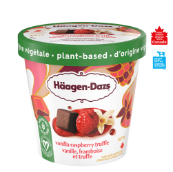 Plant-based Vanilla Raspberry Truffle Frozen Dessert