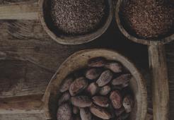 Fèves de cacao entières et moulues